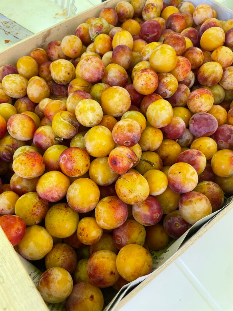 tradition culinaire prunes